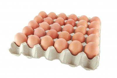egg quality reserve check